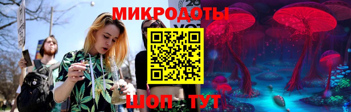 Галлюциногенные грибы Psilocybe Тавда