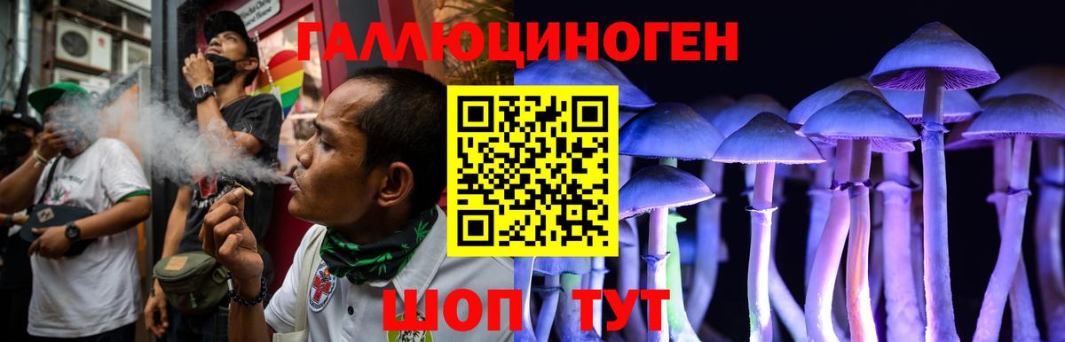 Тавда  купить   Вход с VPN  Галлюциногенные грибы мицелий  Псилоцибиновые грибы прущие грибы 